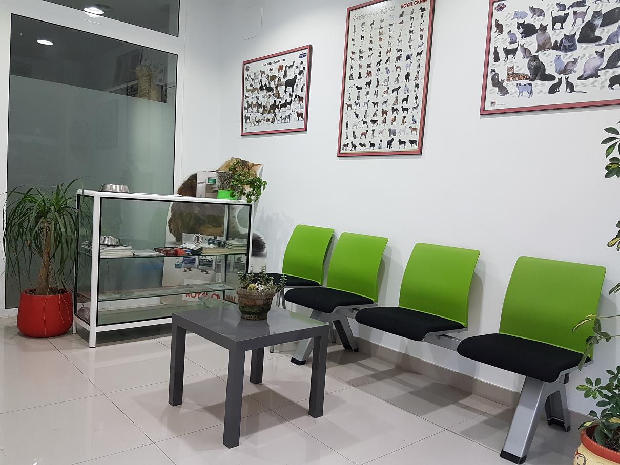 CLINICA VETERINARIA IBAÑEZ JUAN CARLOS IBAÑEZ GUZON CLINICA VETERINARIA IBAÑEZ JUAN CARLOS IBAÑEZ GUZON